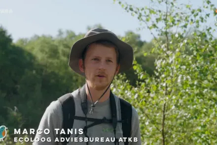 Marco Tanis