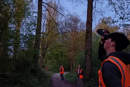 Op zoek naar vleermuizen