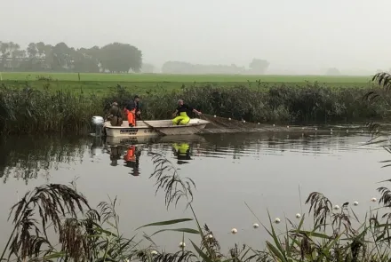 Visstandonderzoek in Friese wateren