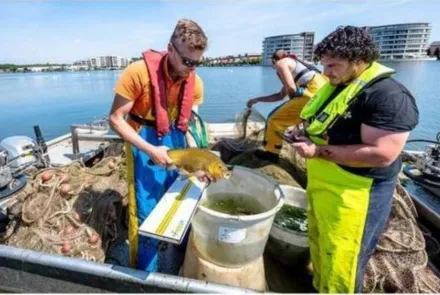 KRW visstandonderzoek voor waterschap Hollandse Delta van start
