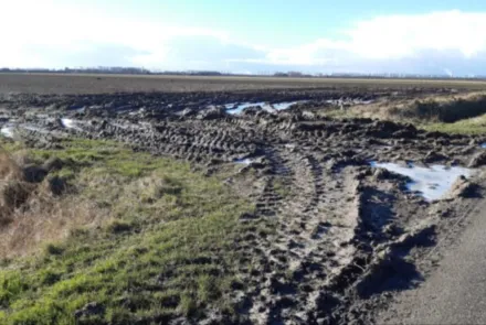 Bodemonderzoek en sanering voor een toekomstbestendig watersysteem in Zeeuws-Vlaanderen