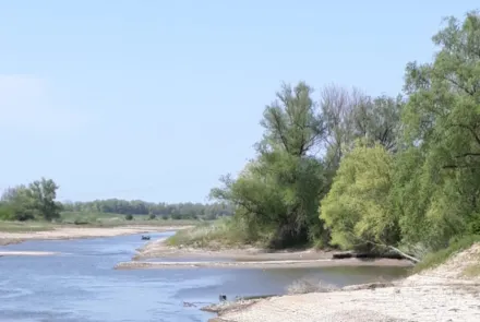 Zijstroom van rivier opgroeigebied voor vis