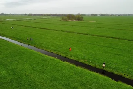 Wegvangen rivierkreeften heeft zin