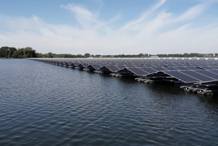 Eerste resultaten ecologische effecten drijvend zonnepark