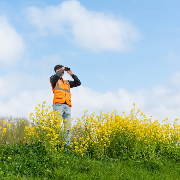 Teamleider Terrestrische Ecologie